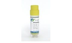 Creative Biogene - Model CSC-BS0001-CHO-K1 - Rituximab Stable Cell