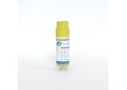 Creative Biogene - Model CSC-BS0002-CHO-K1 - Trastuzumab Stable Cell