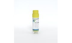 Creative Biogene - Model CSC-BS0003-CHO-K1 - Cetuximab Stable Cell