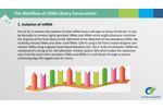 cDNA Library Construction - Video