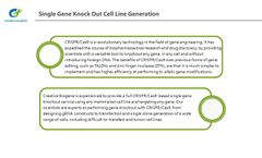 Stable Knockout Cell Line Generation - Video