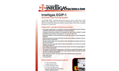 Intelligas EGIP Automatic Gas Proving System Brochure