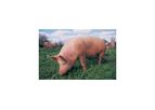 Ridgeway Biologicals - Veterinary Medicines Directorate (VMD) Vaccines
