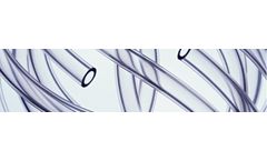 Thermoplastic - Model RNT 70 - Excelon RNT Food and Beverage Hose