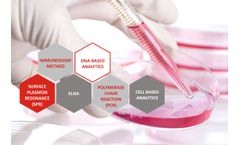 Lab-on-a-Chip System for Immunoassays