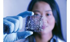 Lab-on-a-Chip System for Molecular Assays