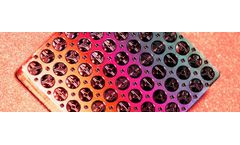 thinXXS - Quality Management Service