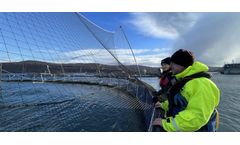 W J Knox - Bird Nets