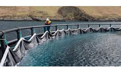 W J Knox - Fish Health Nets