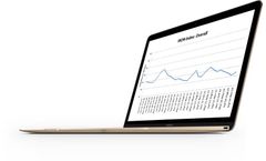IronIndex - Marketplace Analysis Software