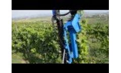 Double Blade Hedge Trimmer + Inter-Row Mower: Attachments for Mini Loaders Multione Video