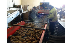 Dewulf - Model Miedema PGS - Seed Potato Cutter