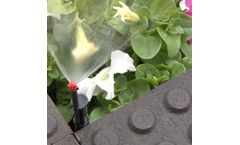 Antelco - Landscape Water Spray Jet