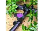 Antelco Purple Back - Low Pressure Irrigation On/Off Valves