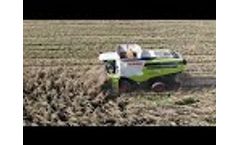 Dominoni Rock Lexion 760 Video