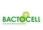 Bactocell - Probiotic Lactic Acid Bacteria for Monogastrics