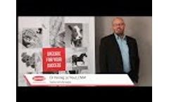 Lallemand Animal Nutrition mission & vision by Dr LE TREUT Video