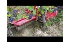DISERBATRICE MECCANICA CR16 - Dragone  - Video