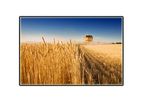 Forage Harvester Cutting Systems