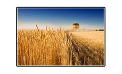 Forage Harvester Cutting Systems