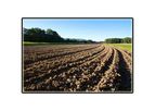 Tillage Sweeps