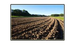 Tillage Sweeps