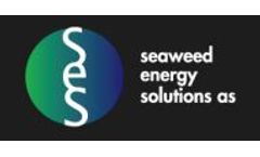 Seaweed Energy Solutions (SES) Makes Acquisition in Denmark to Cultivate 100,000 Tons of Seaweed