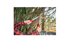 Corona - Model ClassicCUT BP 3225D - 3/4 In. Cut Capacity Two-Handed Pruner