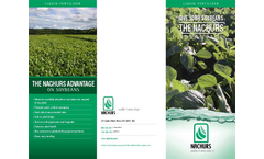 Soybeans Brochure