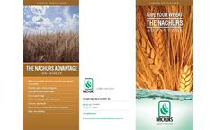 Wheat Brochure