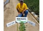 NACHURS Rhyzo-Link - Model 0-0-15 - Dry Fertilizer