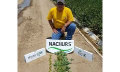 NACHURS Rhyzo-Link - Model 0-0-15 - Dry Fertilizer