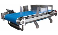 Tecnetics - Model WF-18 - Sanitary Weigh Belt Feeder