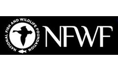 Forests and Grasslands Conservation