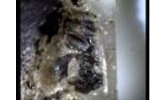 Zarbeco - watch movement - Video