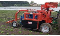 Ferrari Remoweed Weeder - Automatic Hoe for Lettuce - Video