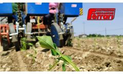 Ferrari FPP Evo Transplanter - Sweet Potato - Video