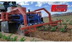 Ferrari Remoweed Weeder - Broccoli - Video