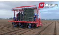 Tomato transplanting with Ferrari Growtech`s Futura - Video