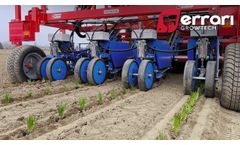 Single Block Chives Planting With FASTBLOCK by Ferrari Growtech - Video