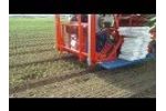 Ferrari Planter - Model Fxmultipla Self-Propelled - Little Jem Lettuce - Video