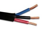 Regency - Tray Cable