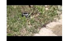Troubleshooting an Irrigation Zone that Won`t Activiate Video