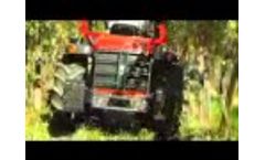 Biological Bursh Twister - Video