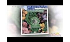 Hendrickson Bros, Corona Video