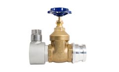 Langham - Control Gate Valve