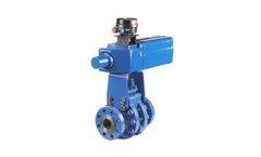 Neles - Model series D - Trunnion Ball Valve