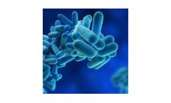 Legionella Risk Assessment Services