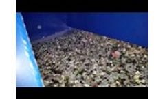 Air Lift Channel Feeder - ALCF 2 Video
