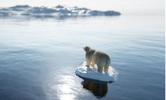 Climate Change Risk Assessment and the Equator Principles Requirements